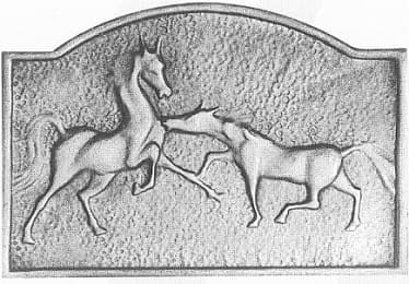 Cavalos selvagens PM